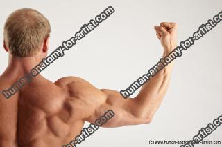 Bodybuilding reference poses of Alberto